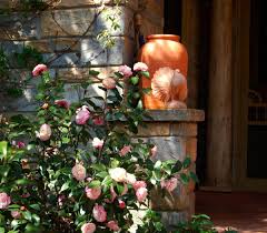 Maybe you would like to learn more about one of these? A Video Excerpt From The Well Placed Weed The Bountiful Life Of Ryan Gainey Southern Spaces