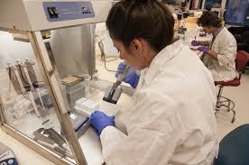 California Voters To Weigh Billions In Funding For Stem Cell Research Again San Francisco Public Press