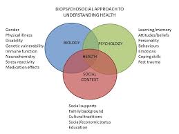 We did not find results for: Health Psychology Perspectives Clinic