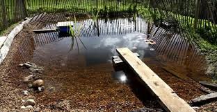 So Kann Man Einen Tollen Schwimmteich Selber Machen