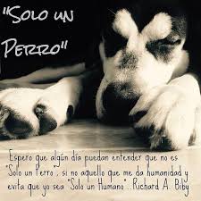 Pin En Hijos Perrunos