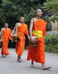 novices