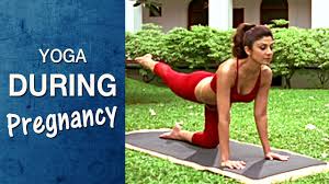 Yoga For Pregnant Women Vyaghrasana Hindi Shilpa Yoga Youtube
