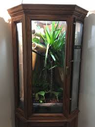 Diy Chameleon Cage Diy Vivarium Chameleon Cage Chameleon Enclosure Chameleon