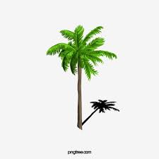 شجرة النخيل 3d شجرة النخيل مرسومة باليد الأشجار Png وملف Psd للتحميل مجانا Plant Leaves Palm Trees Palm