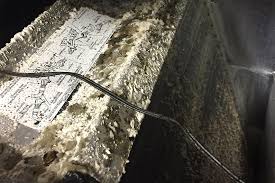 Dust also helps mold form up in and near your air conditioner, so getting rid of any dust is highly advisable. Mold Inside Your Hvac Air Ducts Abc Cleaning Inc Air Duct Cleaning Orlando