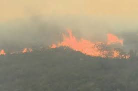 50 operacionais combatem incêndio no algarve. Sic Noticias Incendio No Algarve Com Duas Frentes Ativas