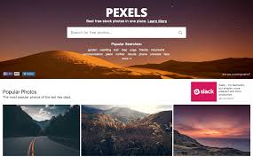 And search all the top stock image websites for any image. 10 Best Stock Image Websites You Need To Know In 2021