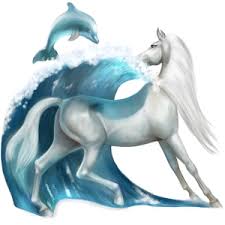 Image result for howrse rare apple coats