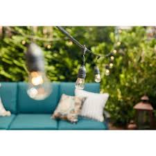 Pin On Gardening Ideas