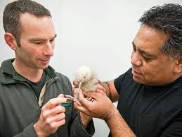 New hope for endangered species