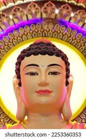 4+ Hundred Da Lung Loi Royalty-Free Images, Stock Photos & Pictures