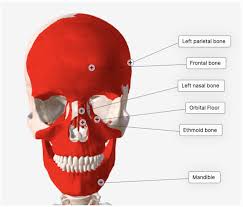 Image result for Kinetic Impact Projectile