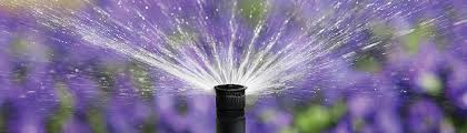 The rain bird 32eti sprinkler system is the perfect solution if you're tired of the results you get from manual watering. Startseite Rain Bird