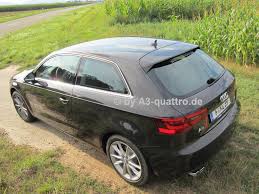 Image result for Beluga Brown 2015 A3