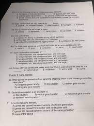 The two strands are held together by hydrogen bonds between the nitrogenous bases of the. Solved 62 All Of The Following Pertain To Nitrogenous Ba Chegg Com