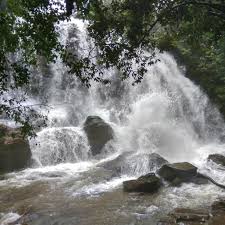 22 km (14 mi) from sringeri: Head To Sirimane Falls For Scenic Views Lbb Bangalore