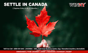 Winny Canada Immigration Consultants In Mumbai Can Change Your Life With Its Substantial Career Planning An Aesthetic Wallpapers Free Image Editing Maple Leaf