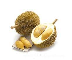 Raja buah yang juga berhubungan dengan angka main 017 utama adalah durian, salah satu buah yang paling disukai karena rasanya yang enak, dengan banyak ciri berduri di kulitnya. Erek Erek Durian 2d 3d 4d Arti Dan Angka Mimpi Buah Durian Erek Erek