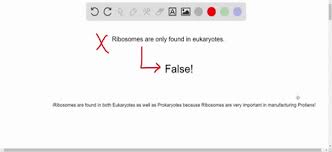 Maybe you would like to learn more about one of these? Solved Is This Statement True Or False Animal Cells Have Mitochondria Plant Cells Have Chloroplasts Explain Your A