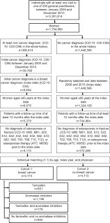 Eating fruits and vegetables is linked to a decreased risk of some breast cancers. Influence Of Chemotherapy And Endocrine Treatment On Fractures In Postmenopausal Women With Breast Cancer A Retrospective Cohort Study Sciencedirect
