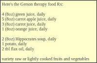 Image result for gerson diet food list