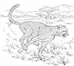 epingle sur ausmalbilder coloriage de soulagement du stress pdf