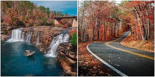 This Scenic Drive In Alabama Has 11 Miles Of Free Breathtaking Views Narcity
