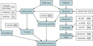 Flow Chart Of The Hotspot Wizard Calculation The Input Is