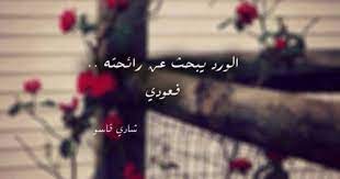 الورد يبحث عن رائحته فعودي شادي قاسو we heart it beautiful arabic words words quotes mood quotes