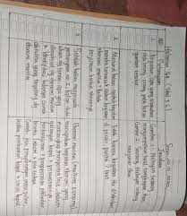 Uji kompetensi sbk kelas 8 halaman 169 oleh ani diposting pada februari 26 2020. Jawaban Tabel 3 6 Ips Halaman 168 Brainly Co Id