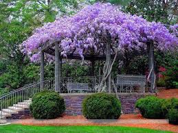 A collection of the top 50 spring nature wallpapers and backgrounds available for download for free. 49 Beautiful Spring Wallpaper Images On Wallpapersafari