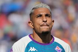 Viola Nation - News update