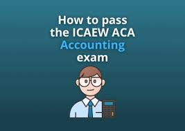 The exam is characterized by a combination of aptitude and professional knowledge tests. How To Pass The Icaew Aca Accounting Exam The Progression Playbook