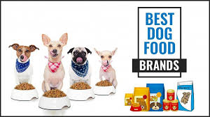 #2 nutro ultra puppy food best premium kibble for puppies — made with a trio of healthy (and yummy!) proteins, brown rice, and an assortment of veggies, this is a great option for owners who want one of the very best kibbles available. Best Dog Food Brands For Your Pet S Needs Petmoo