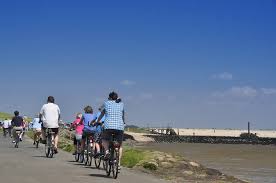 Radfahren Radwandern In Cuxhaven Fahrradverleih
