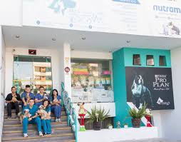 Clínica Veterinaria Pet's Land
