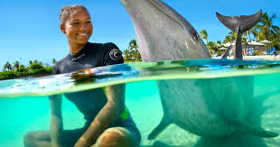 Meet, Naia, One Of The Original Dolphins Who Came To Dolphin Cay The Year  It Opened In 2007. Naia Now Lives Together In A Pod With Toni And… |  Instagram