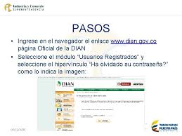 Dian.gov.co rating in top 5 countries. Registro Nacional De Bases De Datos Rnbd Delegatura