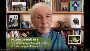 Dr. Jane Goodall's Message for Earth Day 2021