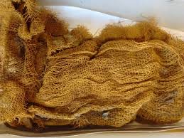 Check spelling or type a new query. Cotton In Ancient Sudan And Nubia