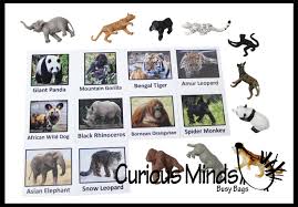 ✓ free for commercial use ✓ high quality images. Animal Match Endangered Species Miniature Animals With Matching Ca Curious Minds Busy Bags