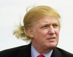 Wish your locks were as blonde and luscious as donald trumps? An Illustrated History Of Donald Trump S Hair Warning Don T Read Before Lunch Vanity Fair