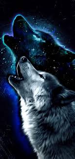 If you're looking for the best wolf wallpaper then wallpapertag is the place to be. Hd Wolves Wallpaper Enwallpaper
