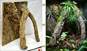 See more ideas about chameleon enclosure, chameleon, chameleon cage. Neherp How To Build A Heavy Duty Vivarium Background
