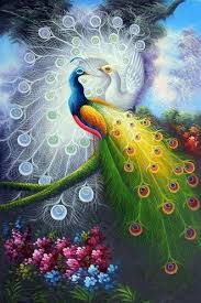 ivana i peacock wall art peacock painting peacock pictures