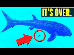 The ark item id and spawn command for alpha leedsichthys, along with its. Taming My Second Ichthyornis Ark Survival Evolved Amino
