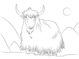 Check out all the brand read more Coloring Pages Coloring Pages Yak Printable For Kids Adults Free