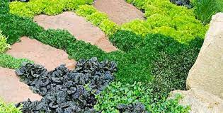 Plantes couvre sol a croissance rapide dans le jardin moderne plantes couvre sol jardin moderne jardins. Trouver Un Couvre Sol Pour Son Jardin