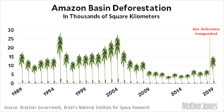 Chart Of The Day The Amazon Is Burning But Not Everyone